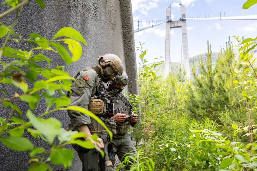 Minedykker i vattnet vid en bro under militärövning
