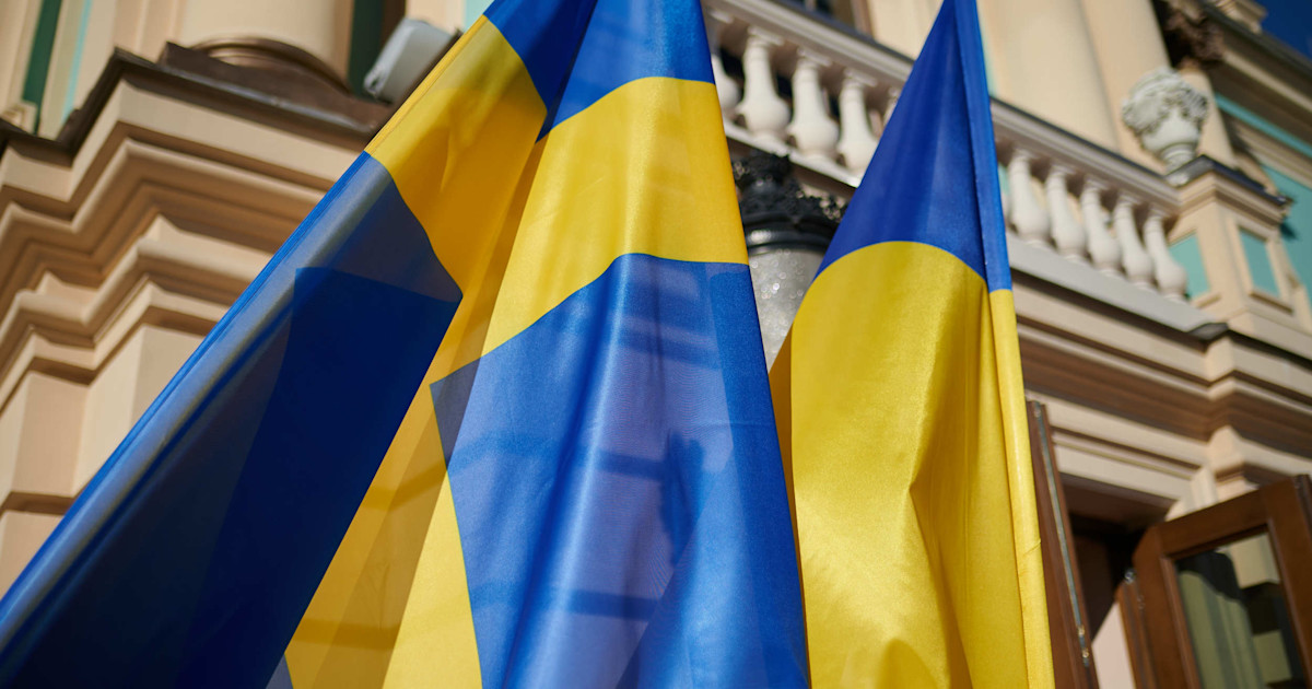 The Government Tasks Defence Authorities to Report Experiences from Ukraine