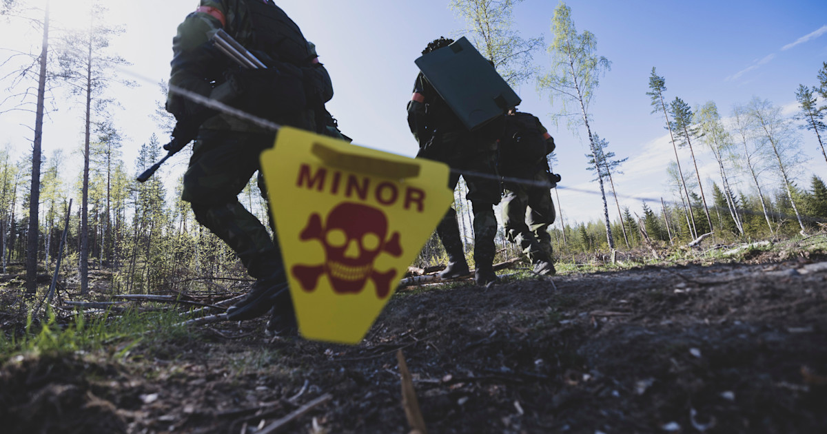 MSB sender 250 minesøgere til Ukraine